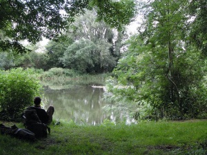 Quiet moment fishing